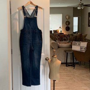Madewell Denim Overalls (size L)